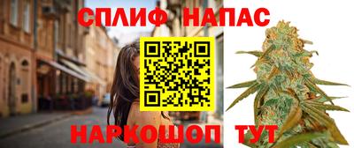 гашик Абакан