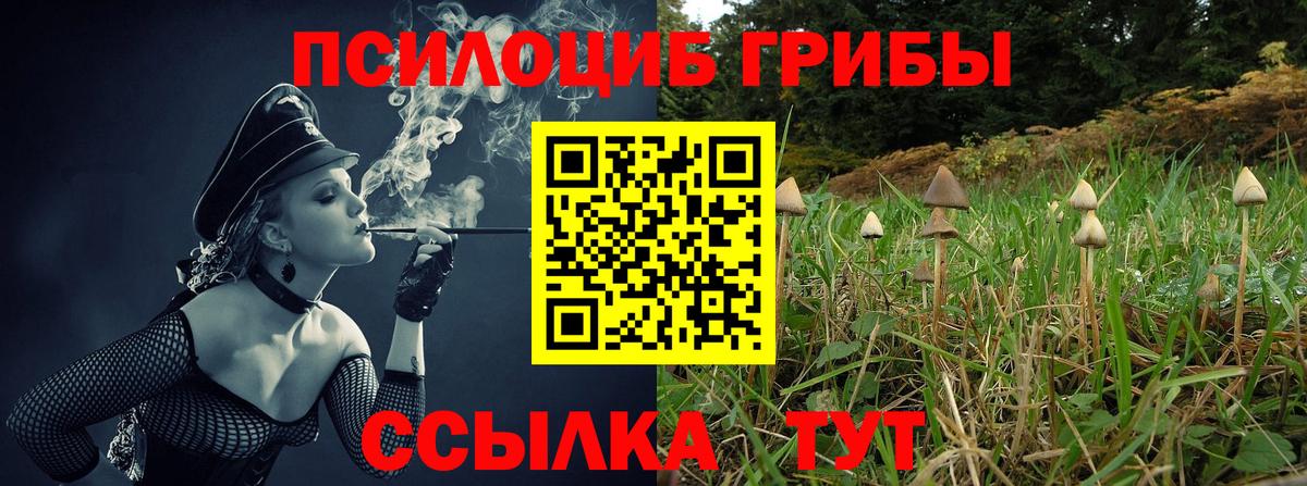 Псилоцибиновые грибы GOLDEN TEACHER  Вход с VPN  наркота  Абинск 
